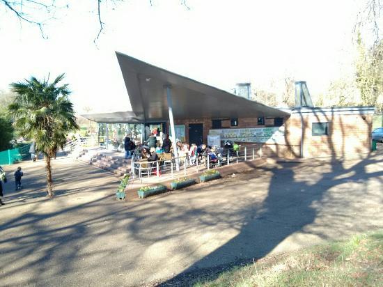 The ParkLife Cafe