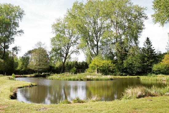 Woodington Lakes Trout Fishery