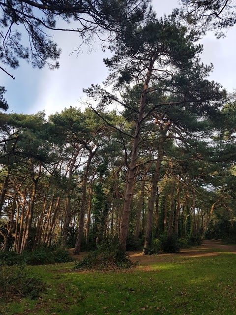 Meyrick Park