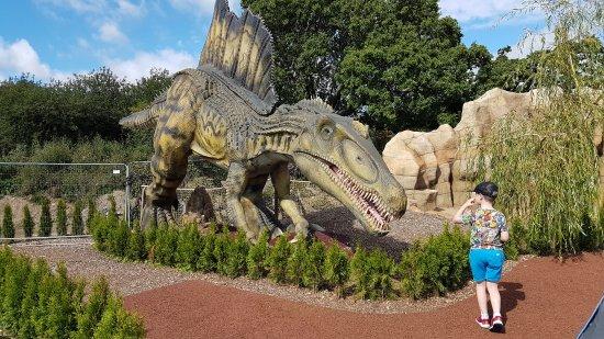 Mighty Adventures Bournemouth