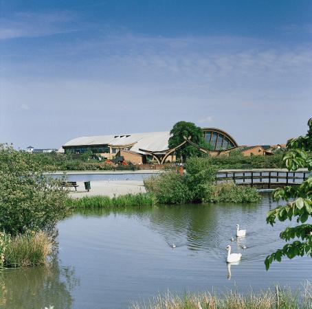 Littledown Centre
