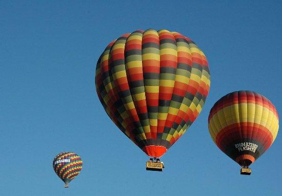 Aerosaurus Balloons