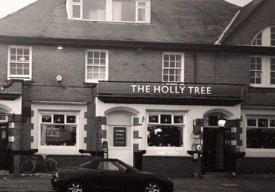 Holly Tree