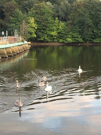 Totton Health and Leisure
