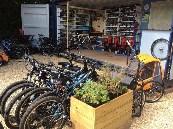 Mr Spokes New Forest Cycle Hire