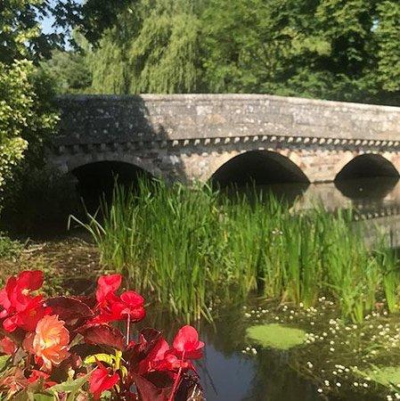 Ringwood Guided Walks