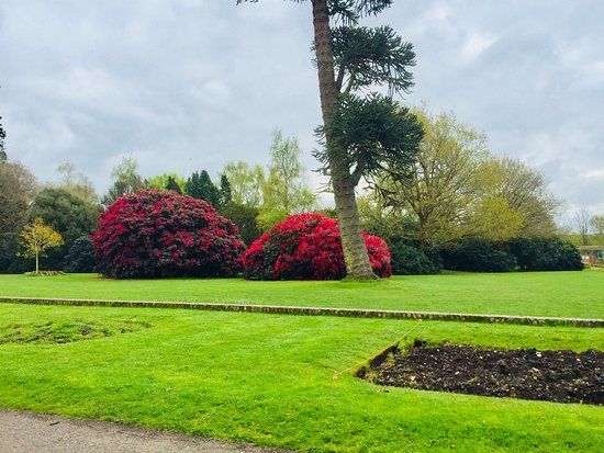 Woodside Park