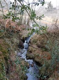 Roydon Woods Nature Reserve