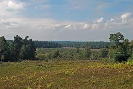 Dibden Inclosure
