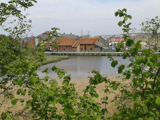 Eling Tide Mill Experience